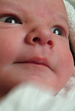 Image 1 of Meg on lockwood-holmes.com