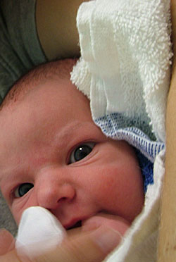 Image 3 of Meg on lockwood-holmes.com