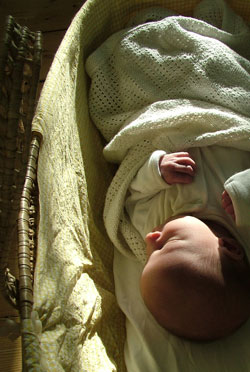 Image 6 of Meg on lockwood-holmes.com