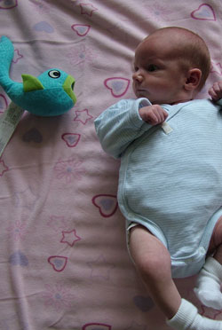 Image 12 of Meg on lockwood-holmes.com