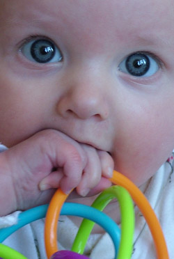 Image 27 of Meg on lockwood-holmes.com